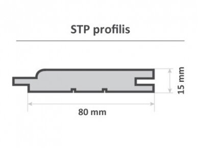 PAVYZDYS | Vidaus/pirties dailylentė, STP, 15x80mm 3