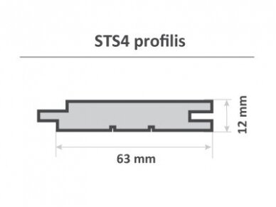 Vidaus/pirties dailylentė, STS4, 12x63x1600mm 3