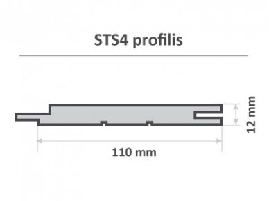 Vidaus/pirties dailylentė, STS4, 15x110x1600mm 3